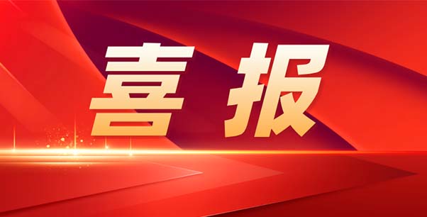 喜報(bào)！熱烈祝賀我司榮獲江蘇省“專精特新”企業(yè)稱號(hào)